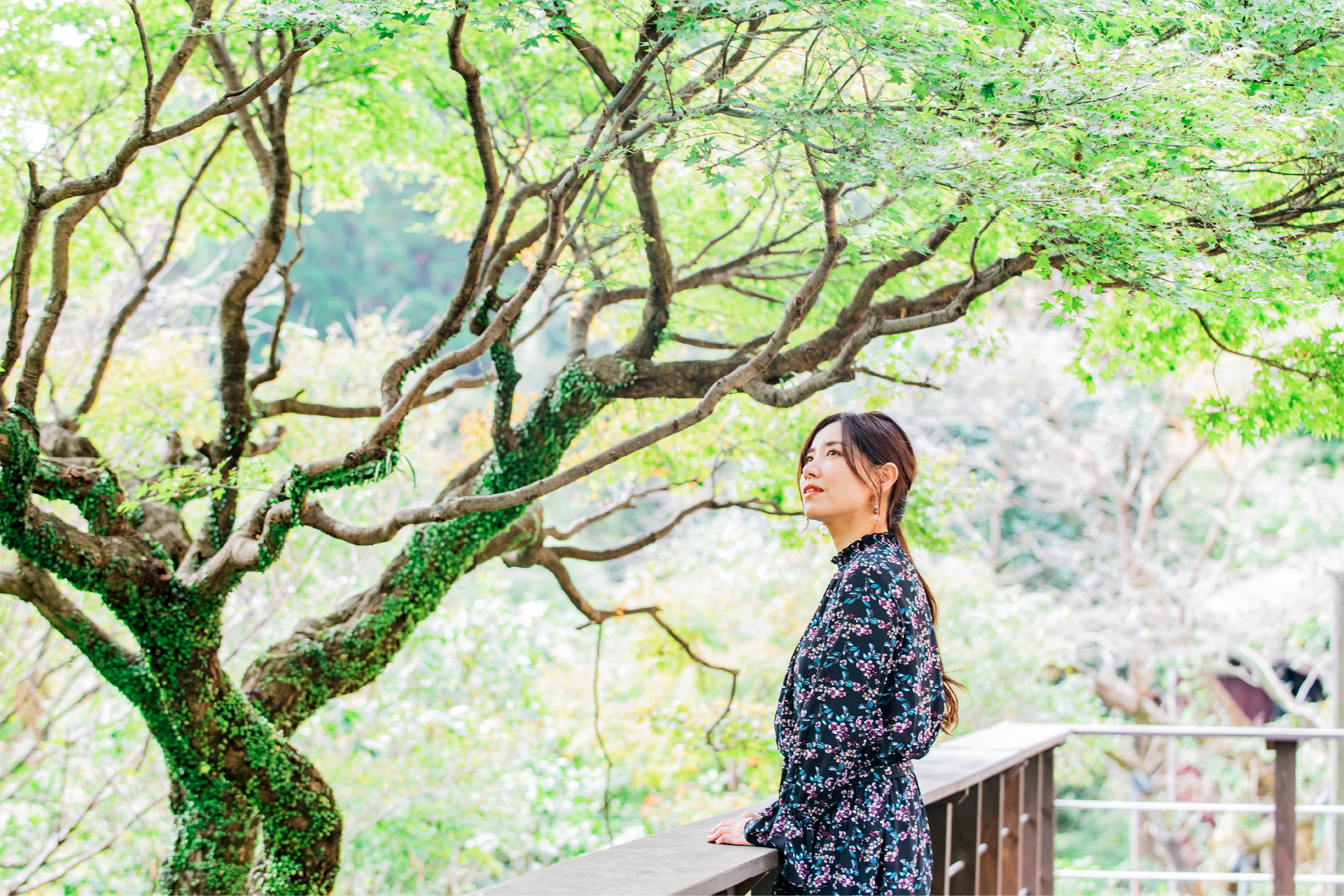 写真01