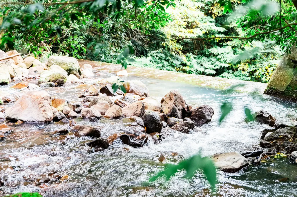 Shaded by Trees, Calmed by Water – A Refreshing Outdoor Escape and Seiryū‑sō Stay in Kirishima